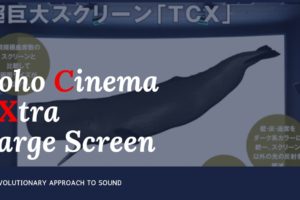 4dxとmx4dの違いと感想 圧倒的に4dxをオススメしたい理由 Cinebad